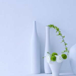 Meet your Posher, Leona